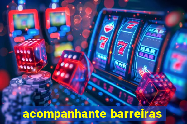 acompanhante barreiras